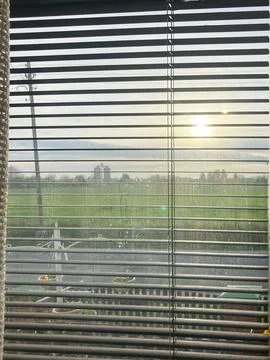 View Through Curtain from a Window Interior Photos