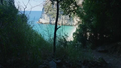 A view through dense greenery and trees reveals the turquoise waters and white Stock Footage 346674715