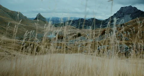 View through dry grass on autumn mountains of Durmitor in Montenegro Video stock 131104102