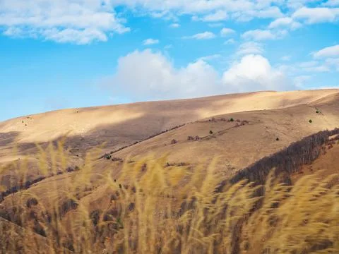 View through dry spikelets on an autumn mountain valley under a blue sky with Fotos Stock