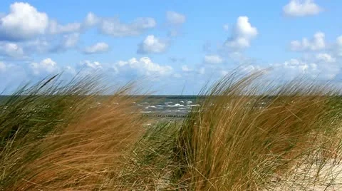 View through dune grass on the German Baltic Sea by a sand dune Stock Footage 11136072
