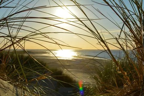 View through Dune grass to the sea at sunset Stock Photos