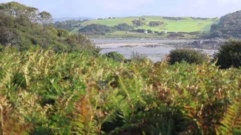 A View Through Fern Thickets to the Lagoon and a Distant Hill With Campers Stock Footage 258149437