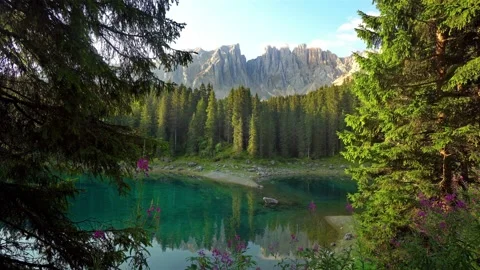 View through the Forest of Beautiful Landscape of Lake Carezza Stock Footage 122239450