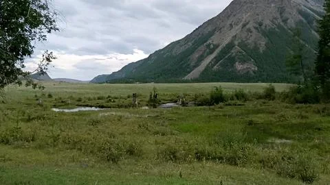 A view through a forest clearing at a small river flowing through a wide va.. Stock Photos