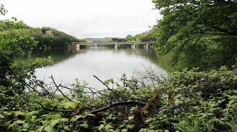 View through the forest trees. Bridge across a lake, car and truck passing by. Stock Footage 37800287