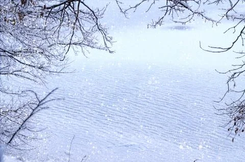 The view through the frame of the snowy branches on the frozen l Stock Photos