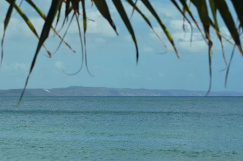 View through the fronds of a palm tree over a bay to a distant headland. Stock Photos
