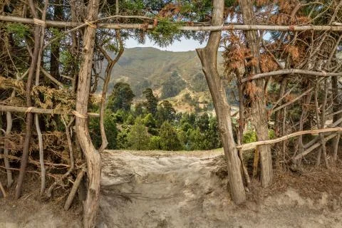 View through the gate Foto stock
