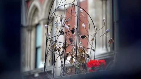 View Through Gates of Dying Plants at Royal Courts of Justice, London Stock Footage 286135795
