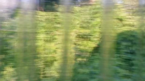 View through the glass Stock Footage 42617662