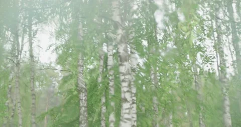 View through a glass on which raindrops fall. Video stock 132272002