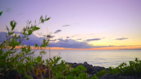 View through the grass on a beautiful sea landscape. Stock Footage 168901725