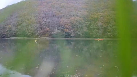 View through grass to the river Stock Footage 82348593