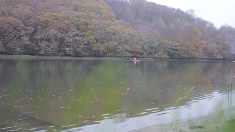 View through grass to the river Stock Footage 82348606