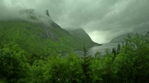 View through green forest overlooking scenic fjord and misty mountains in Norway Stock-Footage 342340369
