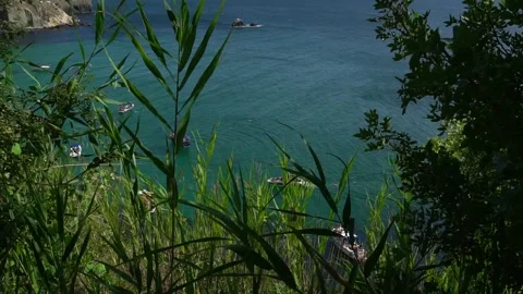 A view through the green grass to the calm crystal clear azure sea with boats Video stock 165362646