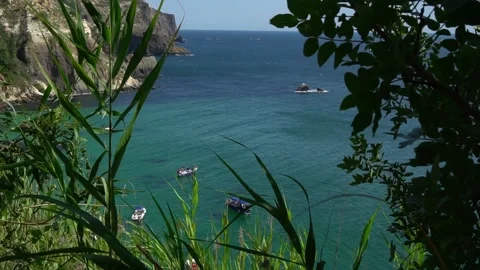 A view through the green grass to the calm crystal clear azure sea with boats Video stock 165507633
