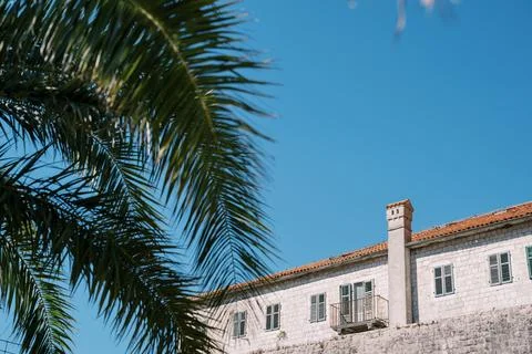 View through a green palm leaf to an ancient stone house with a red roof Fotos de archivo