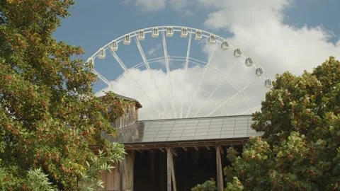 View through green Trees and over Wooden Building Vídeos de archivo 166143427