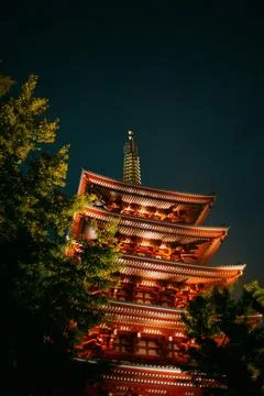 A   view   through   green   trees   of   building   in   red   lights Stock Photos