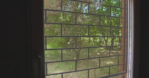 View through the grilled window to the forest. POV tracking shot. Stock Footage 158748104