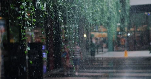 View through the hanging branches of trees at different people, walking along Stock Footage 216039366