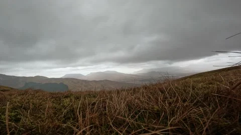View through heather on mountain Stock Footage 236326214