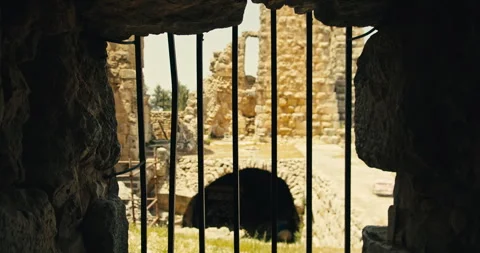 View through iron barred window inside Ajloun Castle, Jordan Vídeos de archivo 342006173