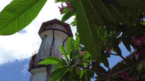 View through the leaves of a tree on water tower Video stock 245651762