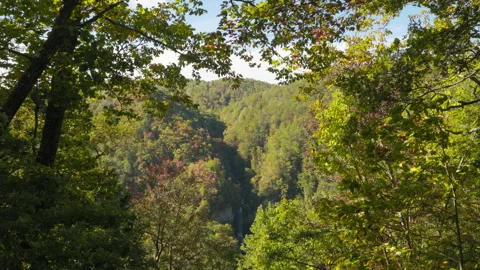 A view through lush autumn foliage of mountains and a waterfall. Autumn lan.. Stock Footage 320326872