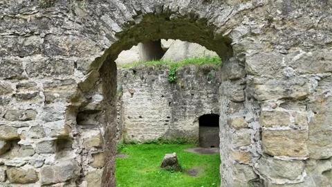 View through medieval stone arch at Helfenburk castle ruins. Vídeos de archivo 329110663