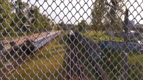 View through a metal grid on the subway Stock Footage 132708423