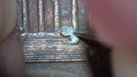 View through microscope of conservator's needle cleaning corrosion from the Stock Footage 320767664