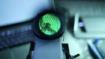 A view through microscope on the fine structure of bee wings. Vídeo Stock 86095180