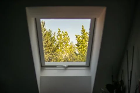 View through a modern attic window showing lush green trees under bright da.. Stock Photos