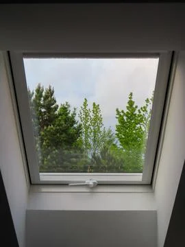 View through a modern skylight window showing green trees and a cloudy sky. Stock Photos