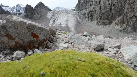View through the moss to the glacier 動画素材 159473687