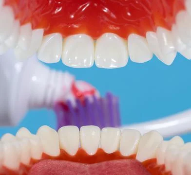 A view through mouth on a toothpaste with toothbrush Stock Photos
