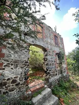 View through an old abandoned window of a brick building with vines overgrowing Stock Photos