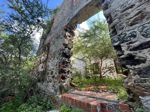 View through an old abandoned window of a brick building with vines overgrowing Stock Photos