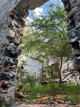View through an old abandoned window of a brick building with vines overgrowing Stock Photos