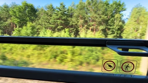 A view through the open window of the train of a pine forest. Stock Footage 318970019