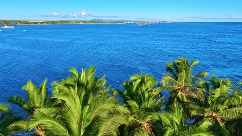 View through palm fronds to the blue ocean. Sea voyage. Stock Footage 332410746