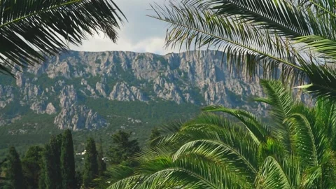 View through the palm leaves on the Mountain. Mountain landscape at sunset. Stock Footage 171577229