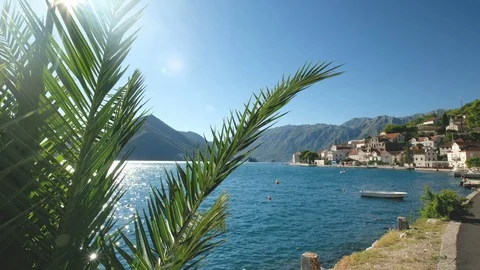 View through the palm tree close up, sea waves on the beach, old town Stock Footage 96004321