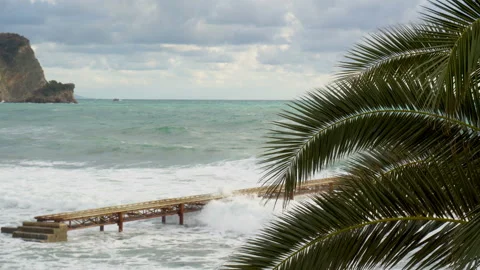 View through the palm tree, green leaves close up, sea waves break on the pier Stock Footage 85546576