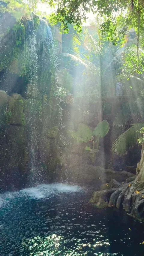 View through palm tree green leaves jungle waterfall fantasy lagoon clean water Stock Footage 346297732