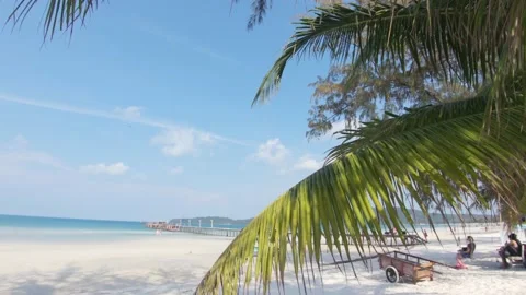 View Through Palm tree leaves to paradisiac bay with wooden pier in Vídeo Stock 147169378