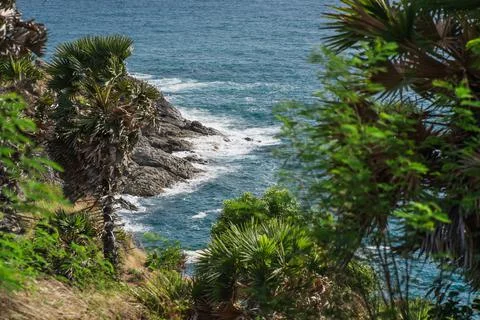 View through palm trees and bushes on the rocky shore and sea waves. Tropical Stock Photos
